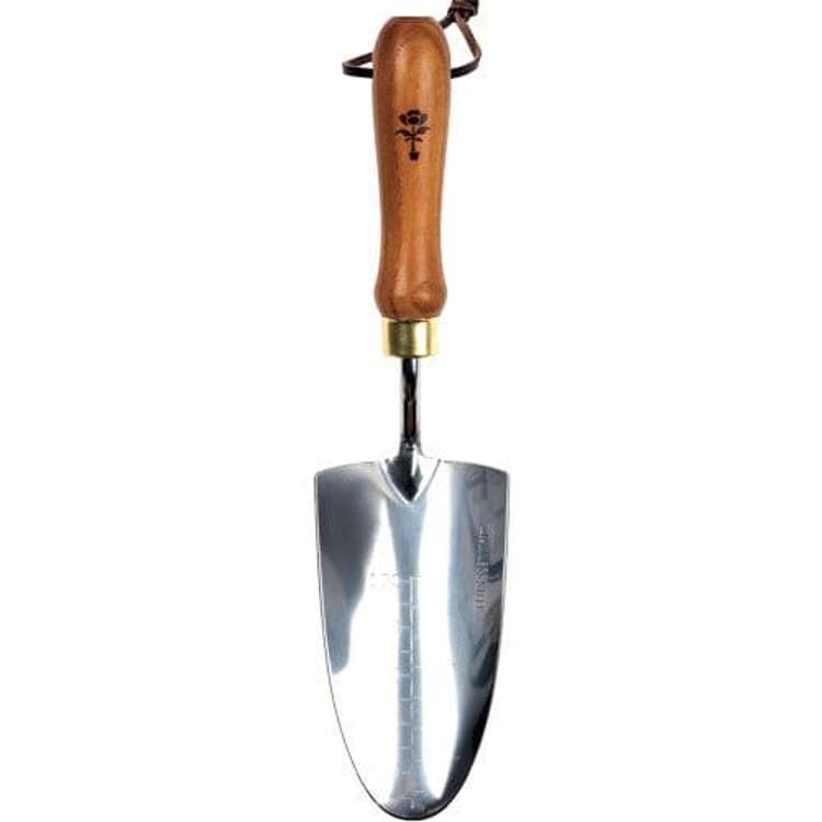 Planteringssked i ask